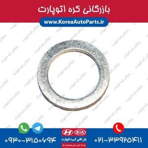 واشر پیچ کارتل موهاوی
