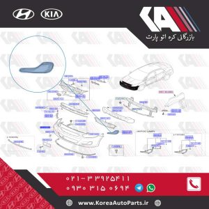 پروژکتور اکسنت
