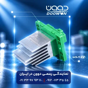 مقاومت فن بخاری کارناوال