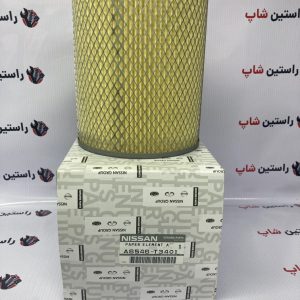 فیلتر هوا رونیز