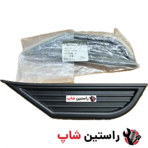 ابرویی چراغ جلو ریچ