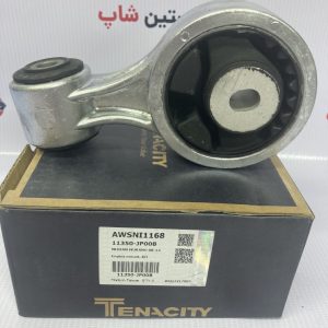 دسته موتور تیانا شاتونی