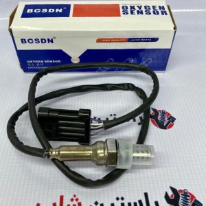 سنسور اکسیژن ریچ