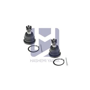 سیبک طبق ماکسیما