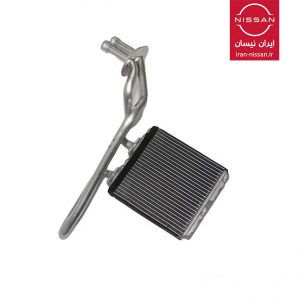 رادیاتور بخاری رونیز چینی